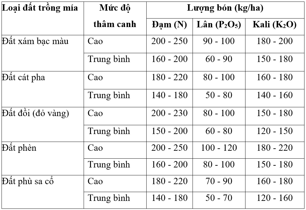 bón phân_1657527946.png